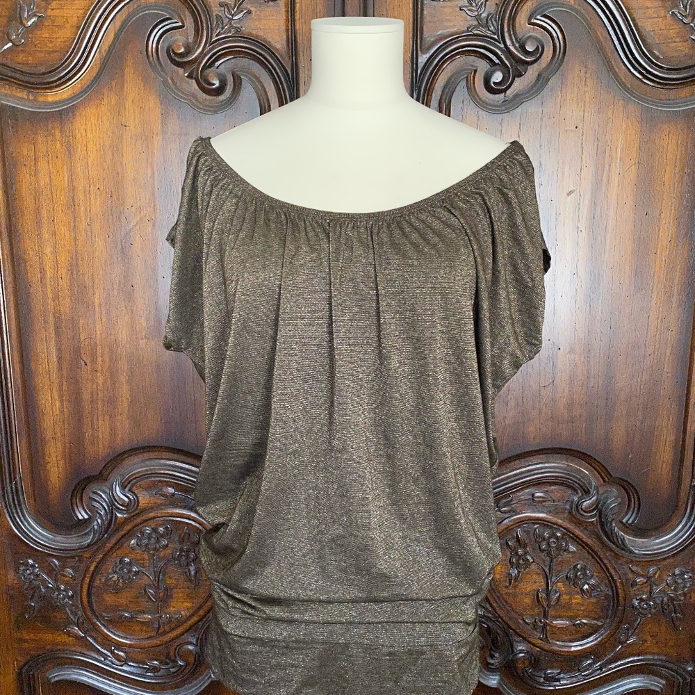 New Copper Shimmer Off the Shoulder Eight & Sixty Evening Top Size Small